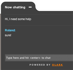 Live Chat Window