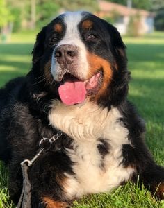 Hurley